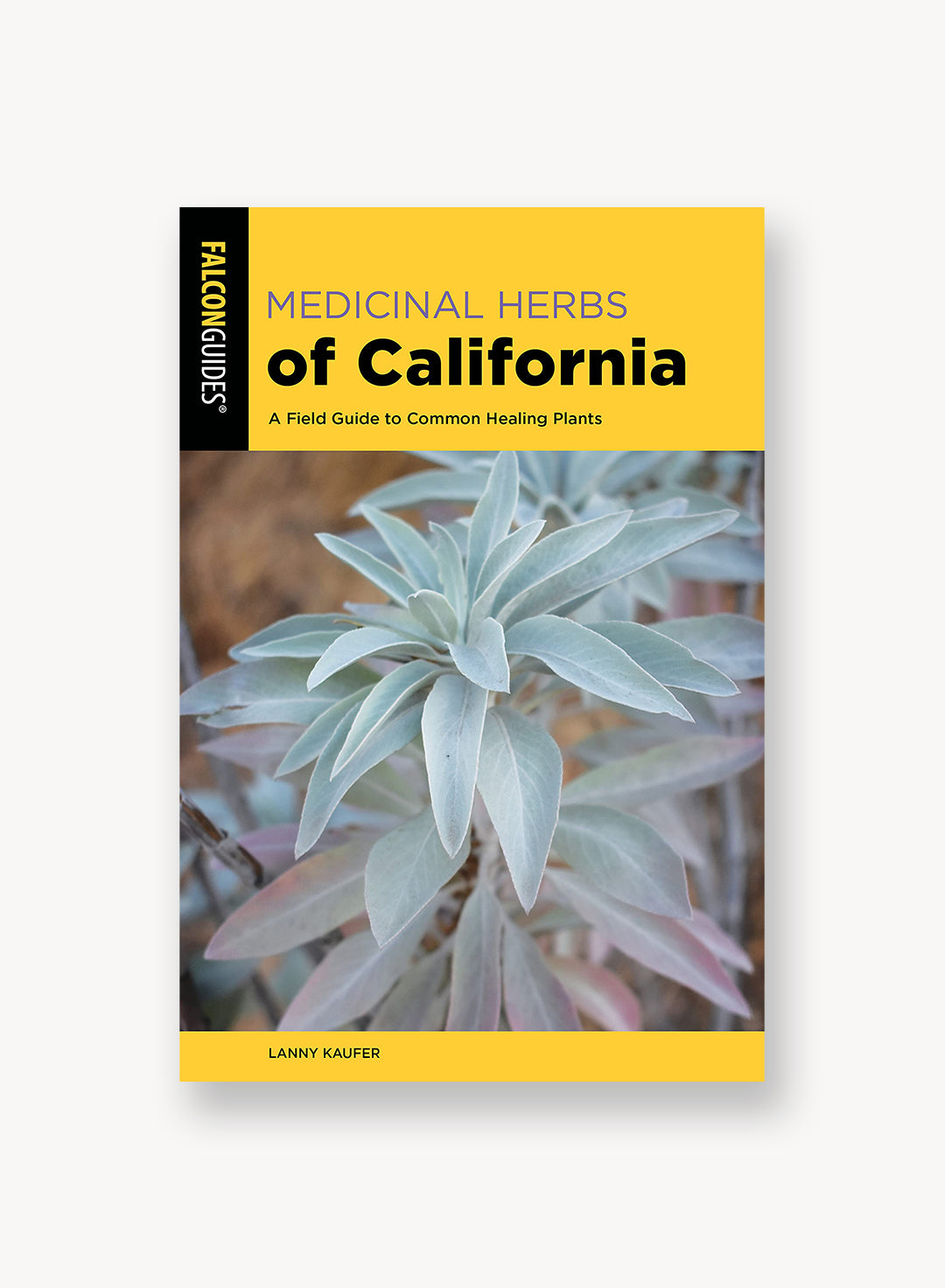 Medicinal herbs of california a field guide to common healing plants