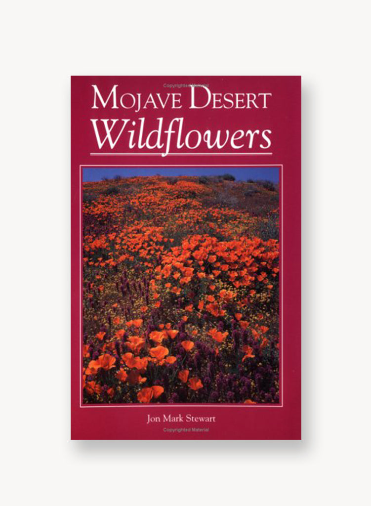 MojaveDesertWildflowersJonMark.jpg