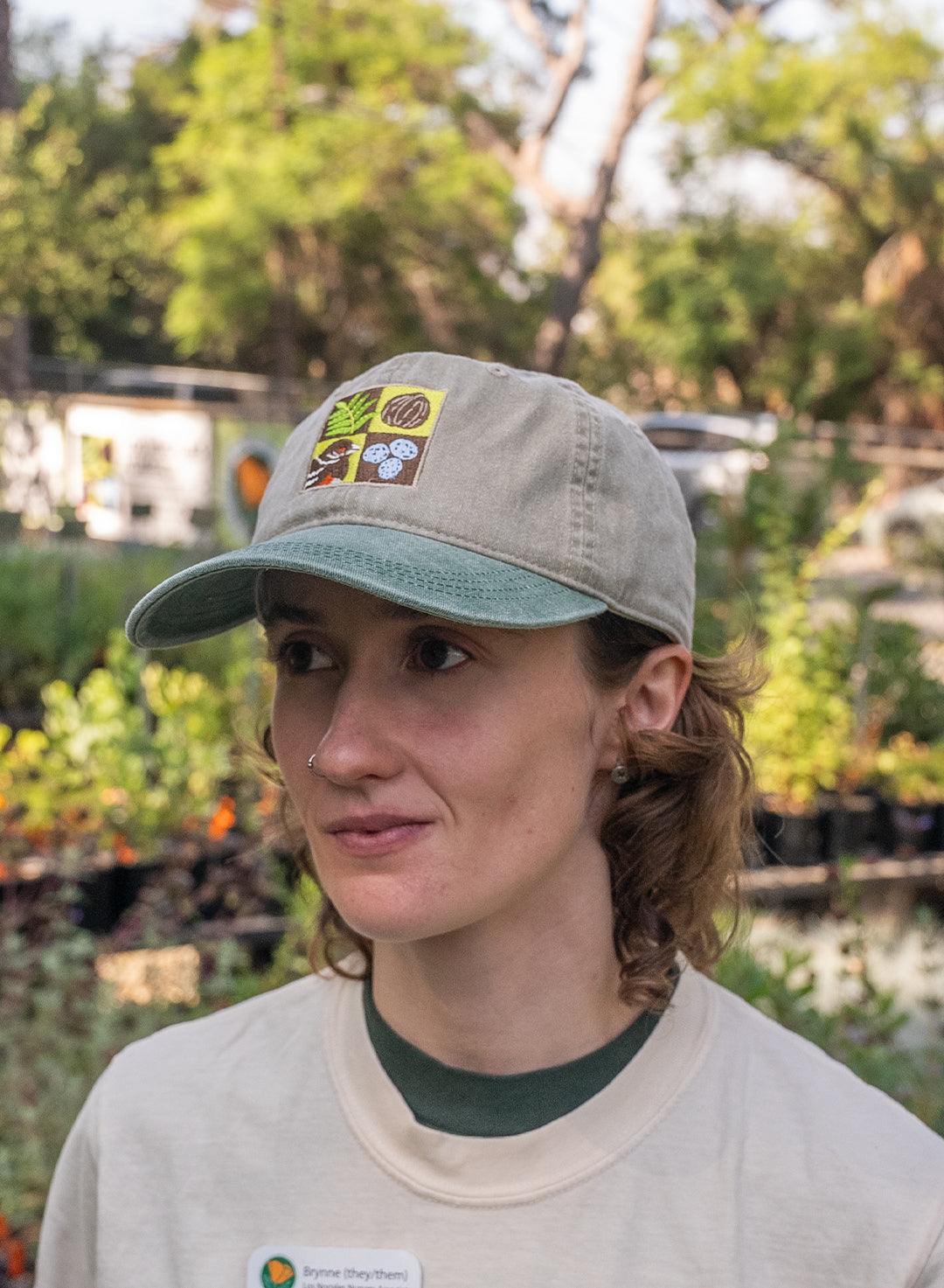Nogales_hat-whole.jpg