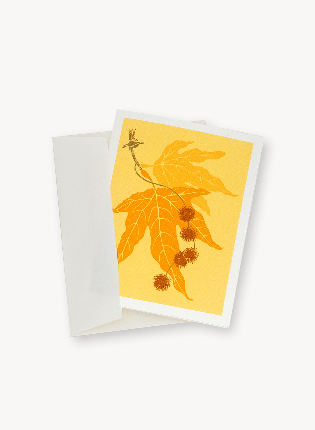 Native Plant Note Cards