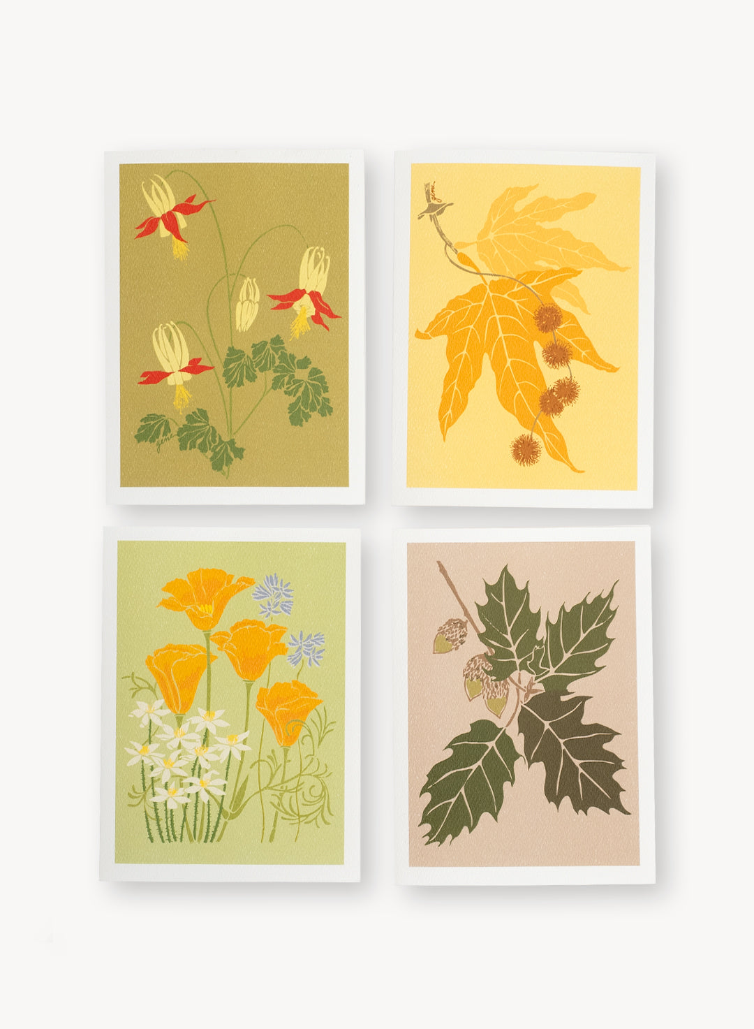 Native Plant Note Cards