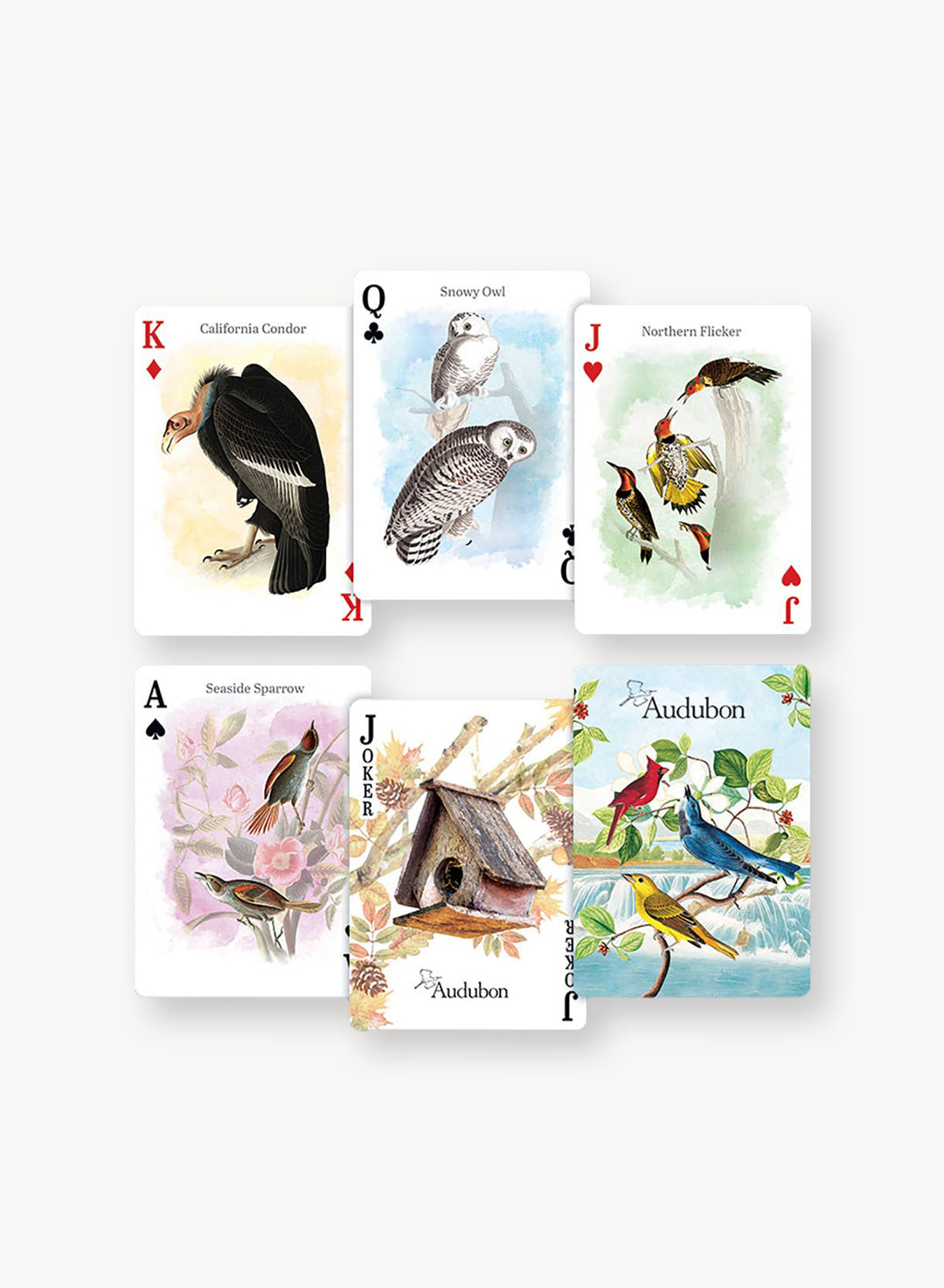 Audubon Playing Cards