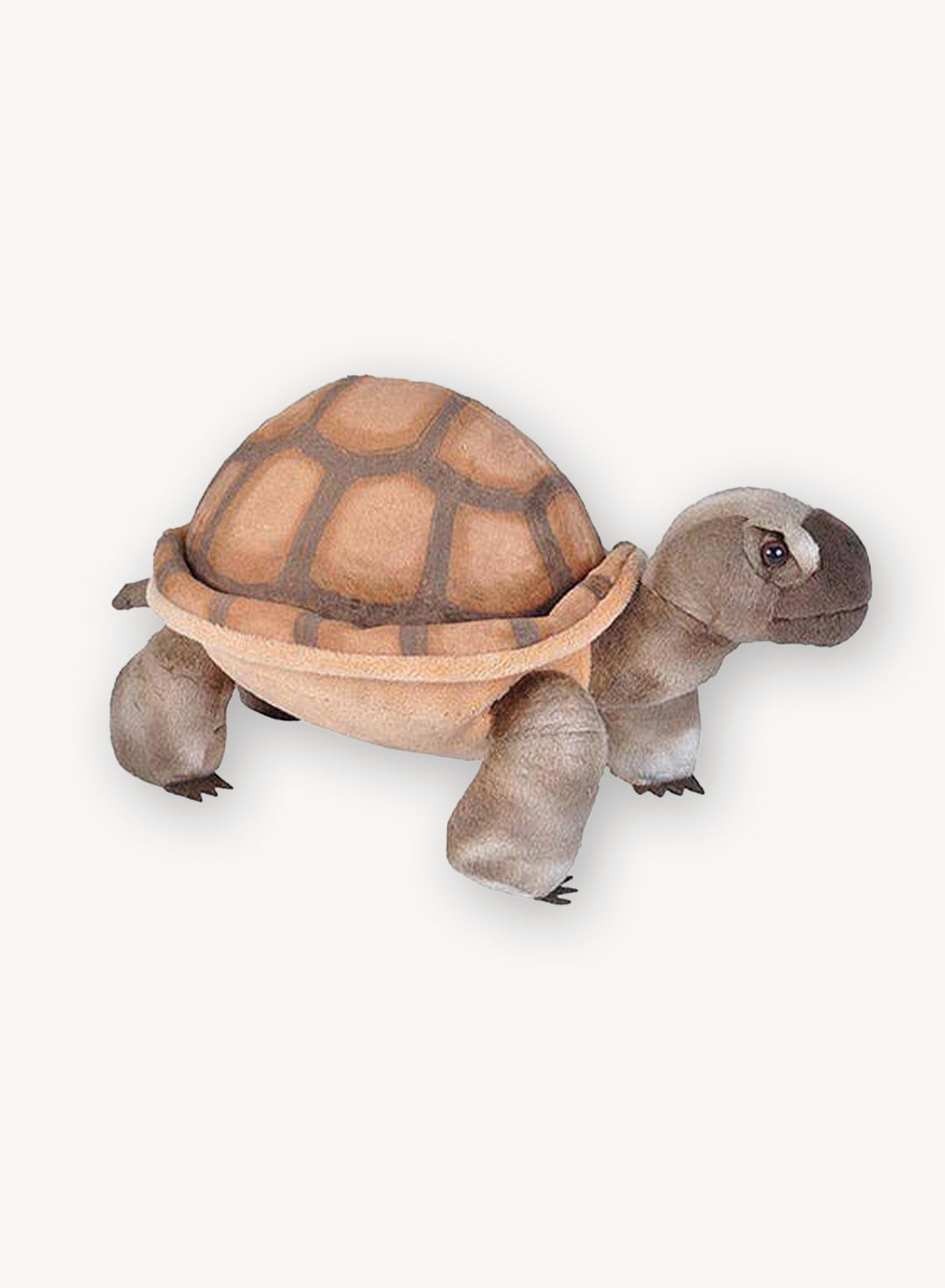 Plushie_DesertTortoise.jpg