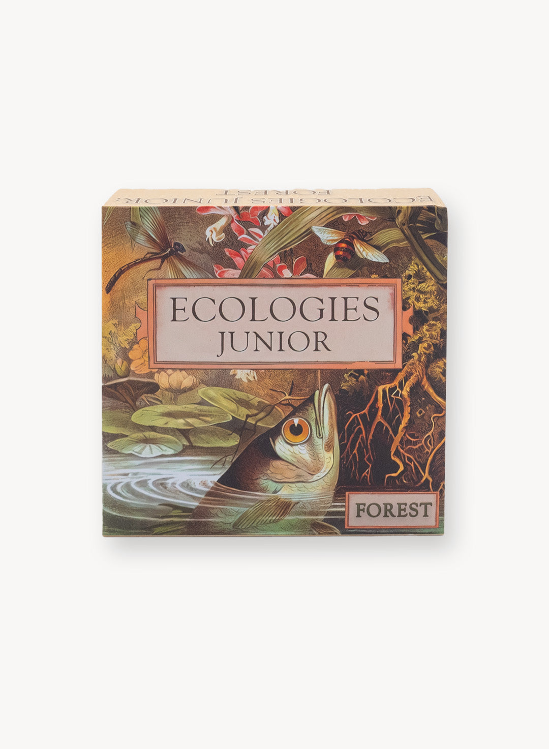 Ecologies Junior: Forest Memory Game