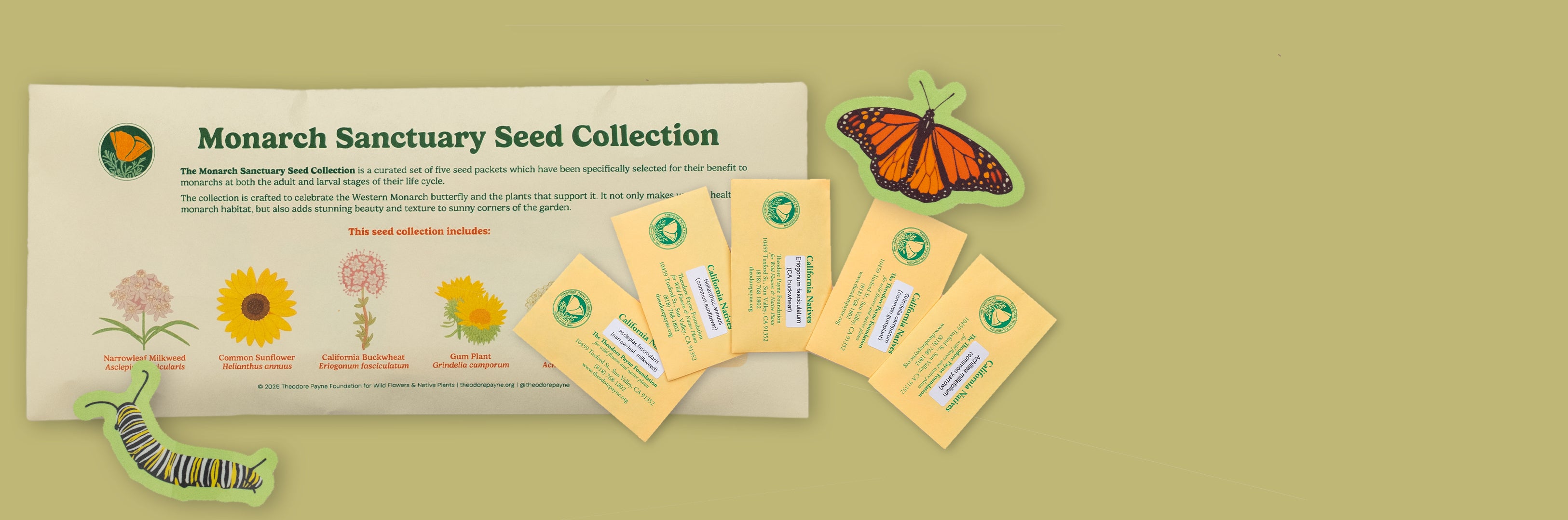 ShopifyBanner-Image_with_text-Monarch_Sanctuary-4.jpg