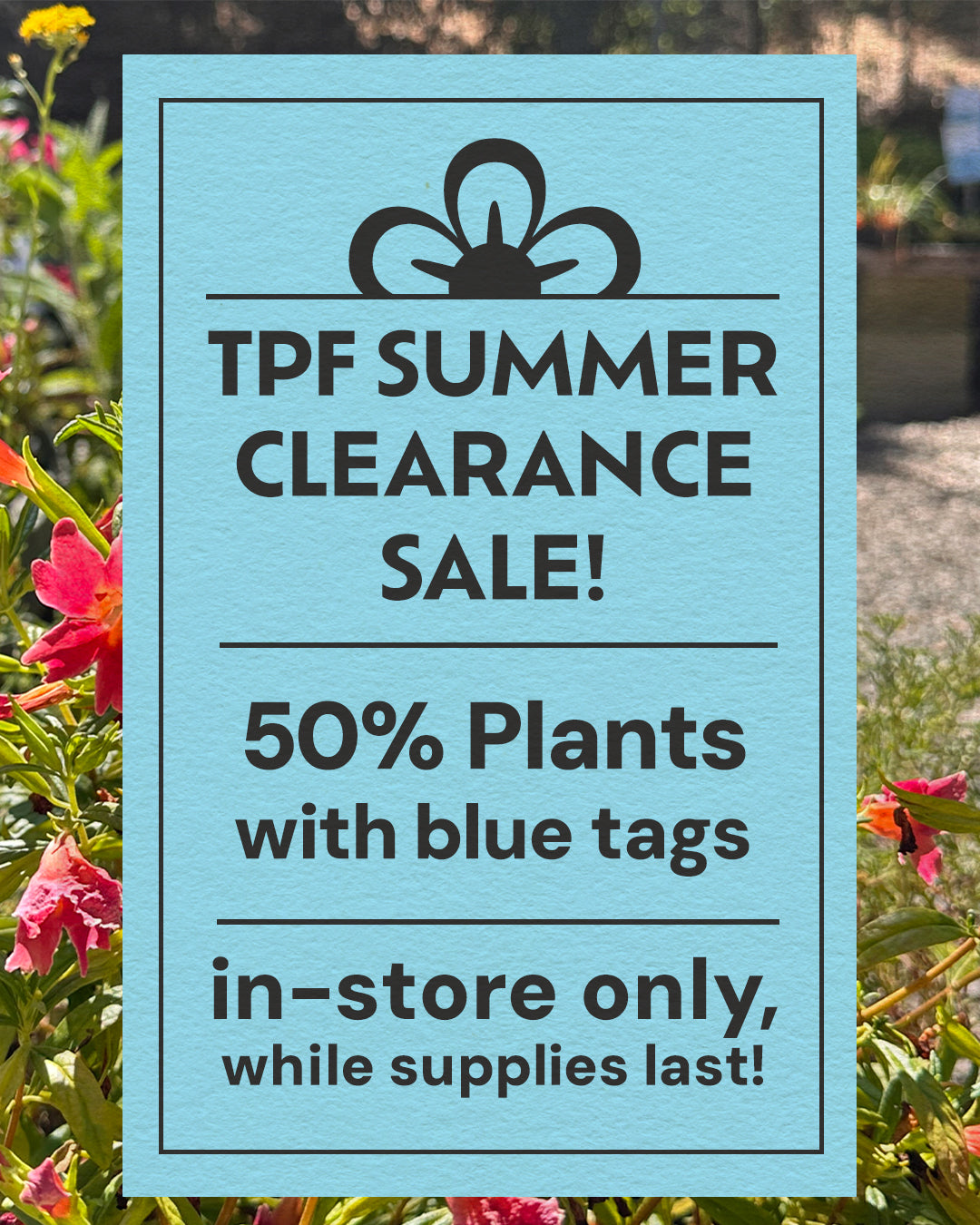 Shopify_Hero_Mobile_summer_clearance.jpg