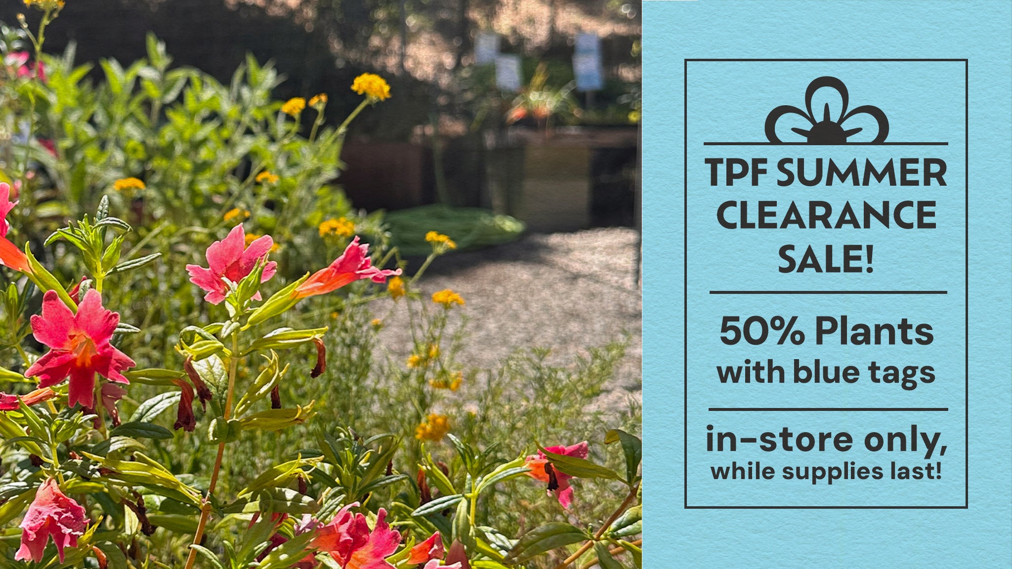 Shopify_Main_Hero_Banner_summer_clearance.jpg