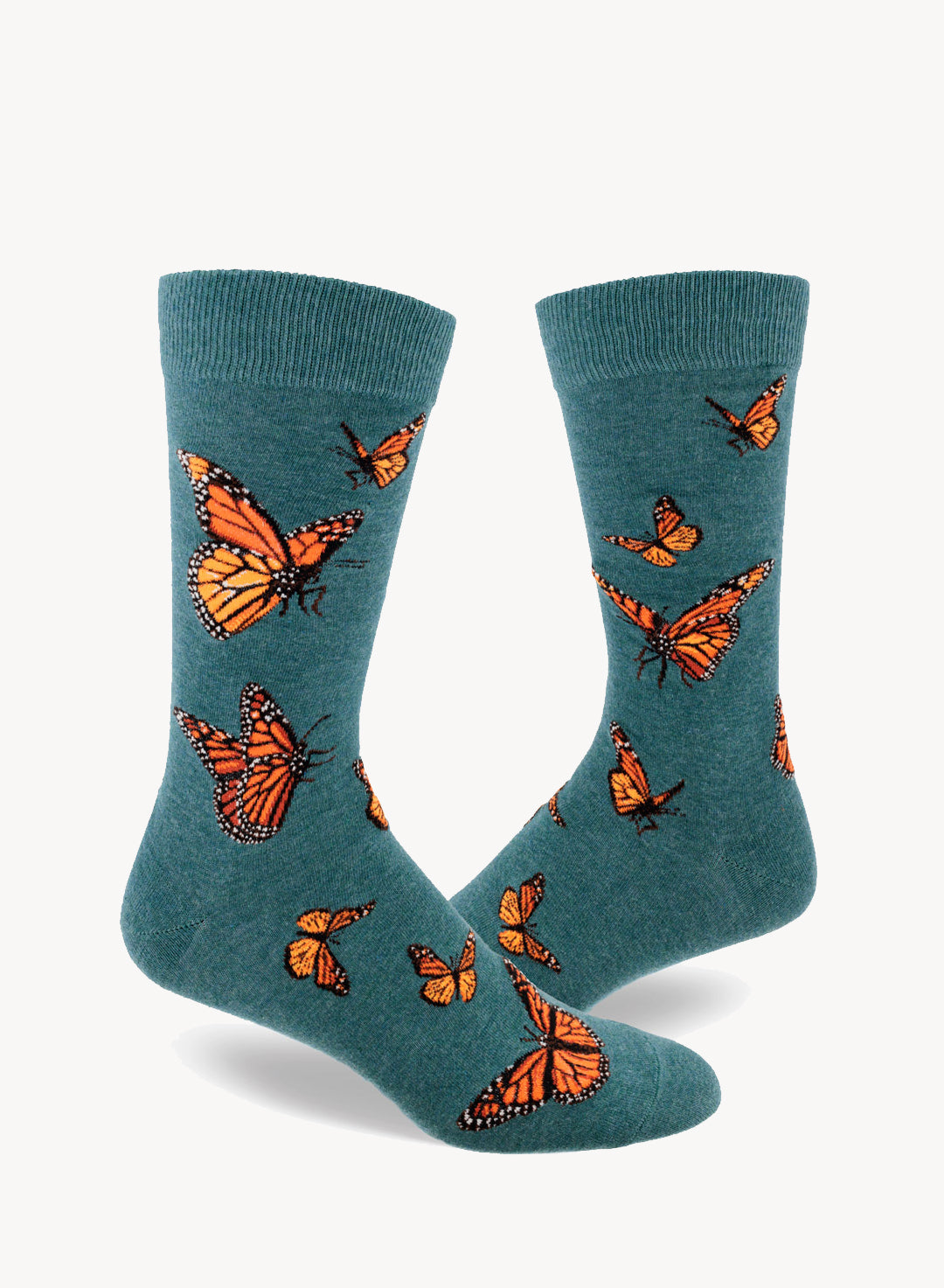 Socks-Monarch-sea.jpg