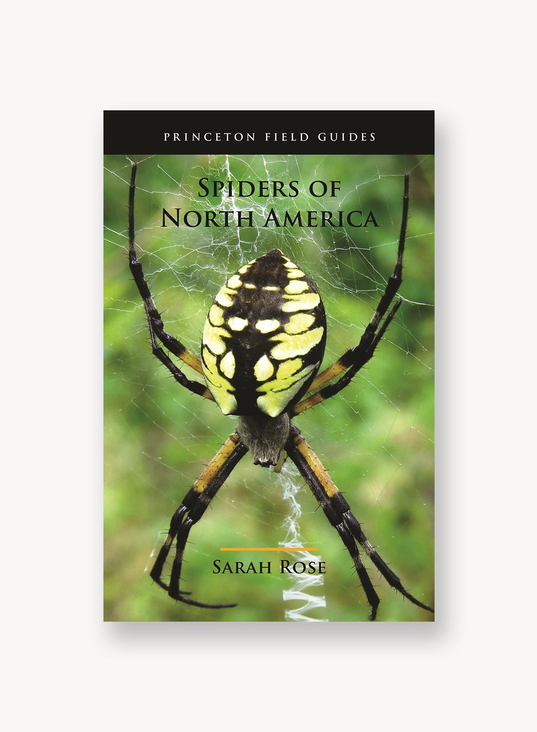 Spiders of North America