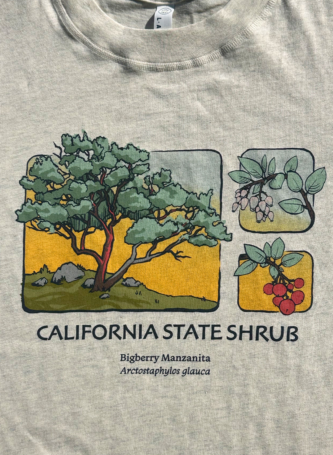 Bigberry Manzanita T-Shirt