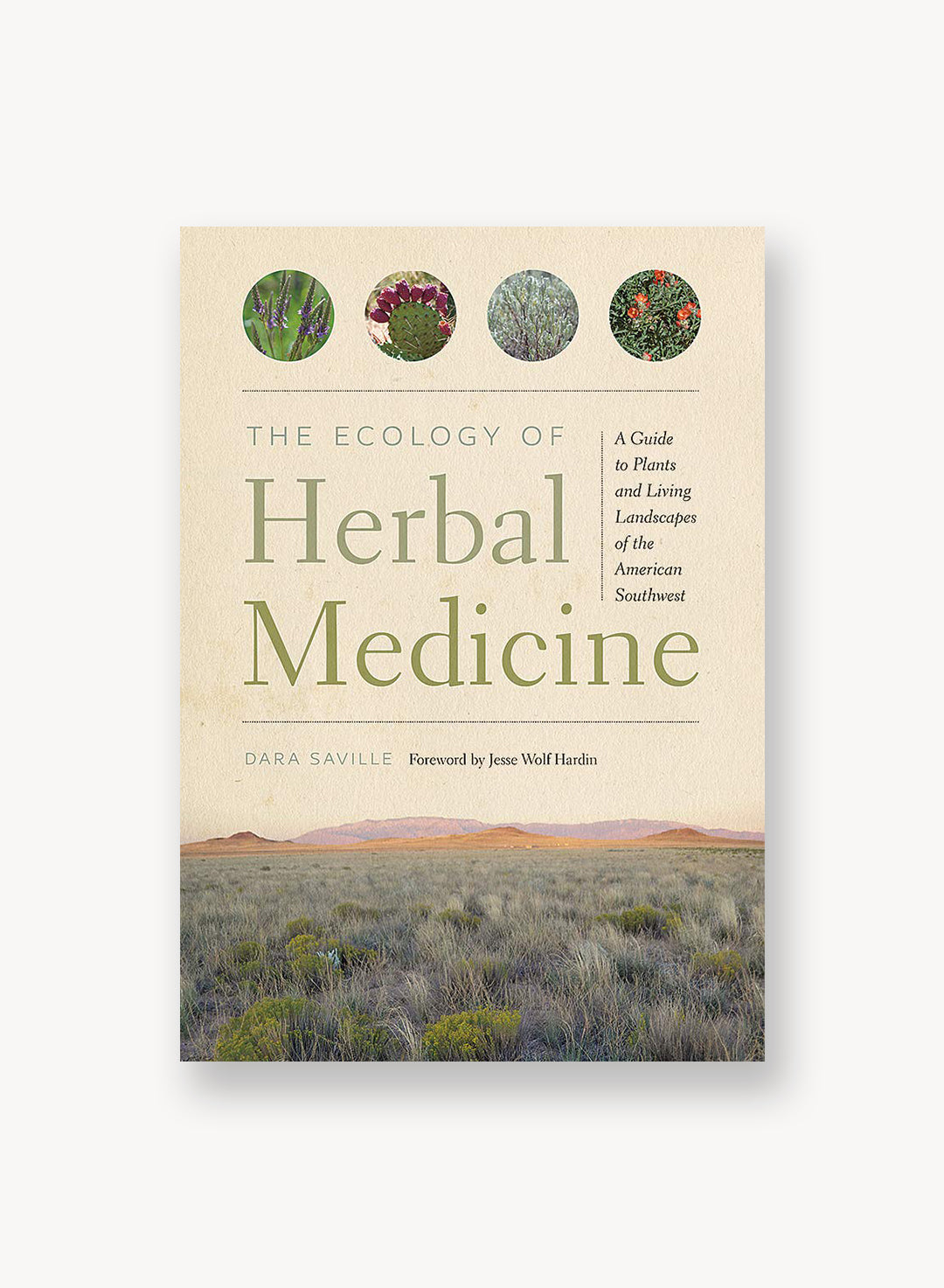 The Ecology of Herbal Medicine: A Guide to Plants and Living Landscapes of the American Southwest