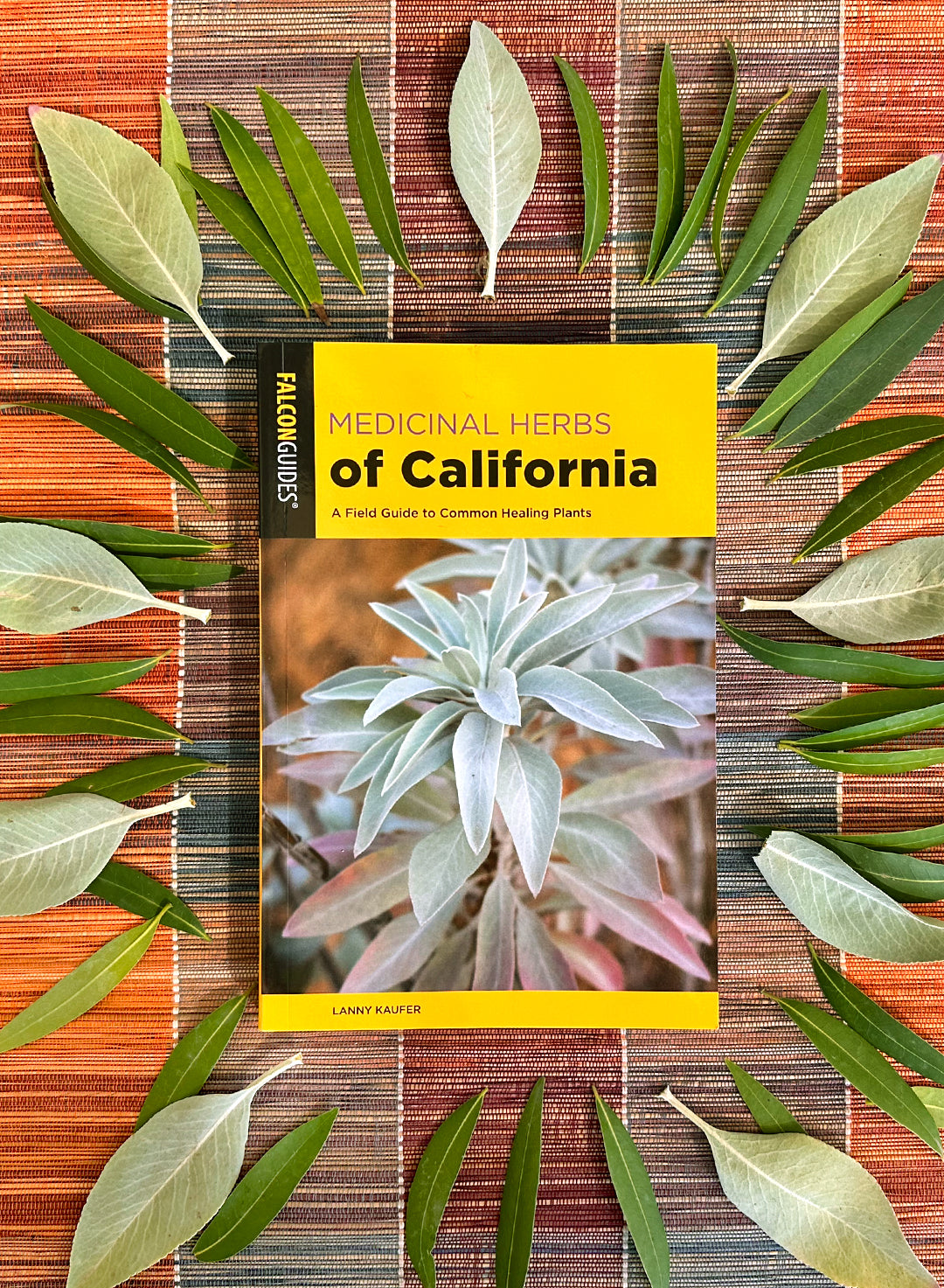Medicinal Herbs of California: A Field Guide to Common Healing Plants
