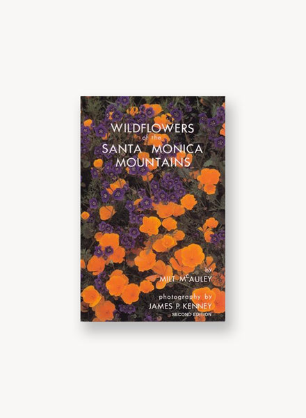 WildflowersoftheSantaMonicaMou