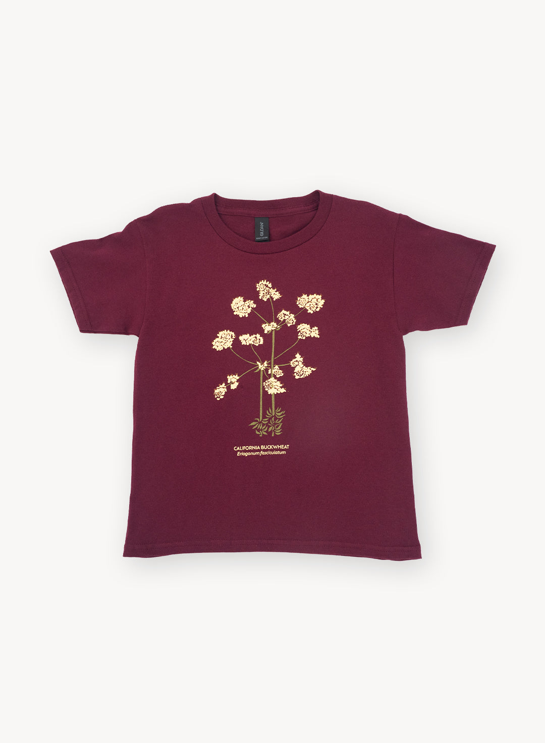 Y_Buckwheat-front.jpg