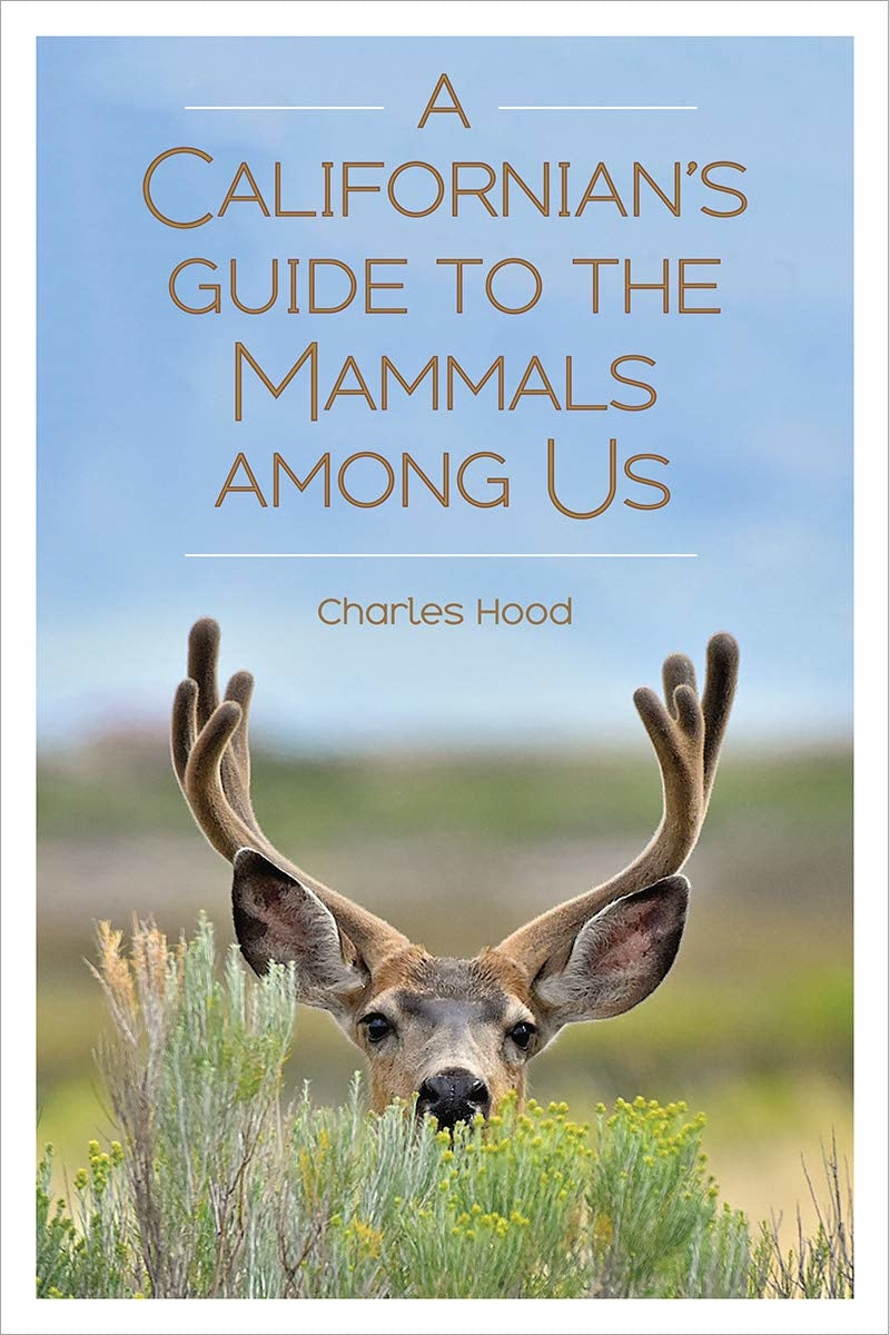 a-californians-guide-to-the-mammals-among-us.jpg