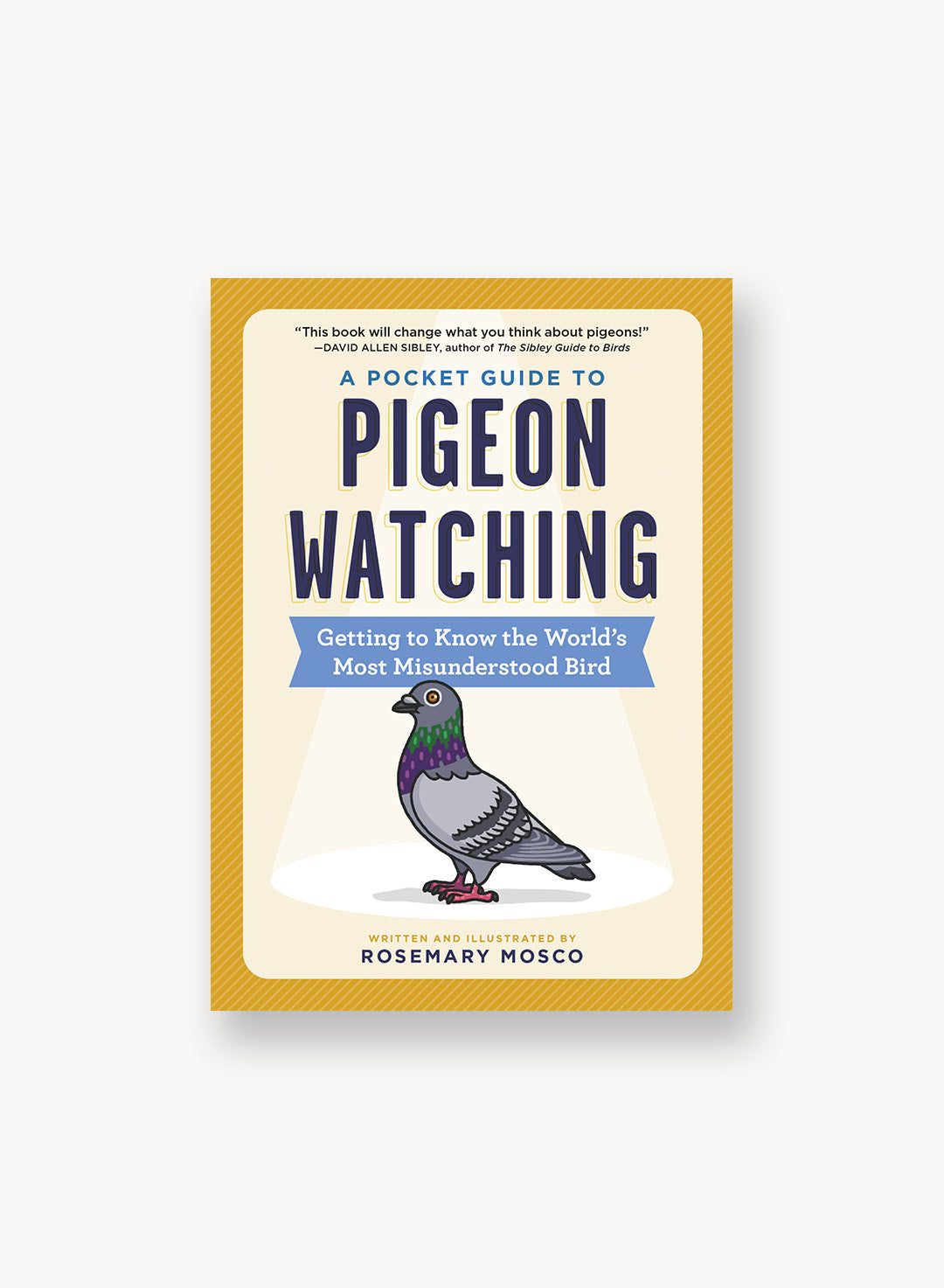 a-pocket-guide-to-pigeon-watching.jpg