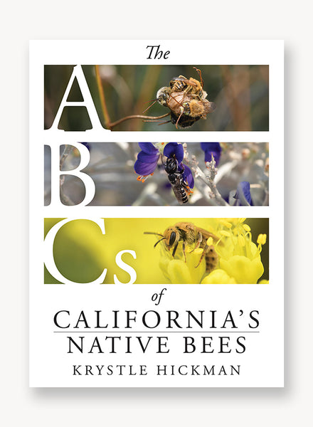 abcscalnativebees_grande.jpg?v