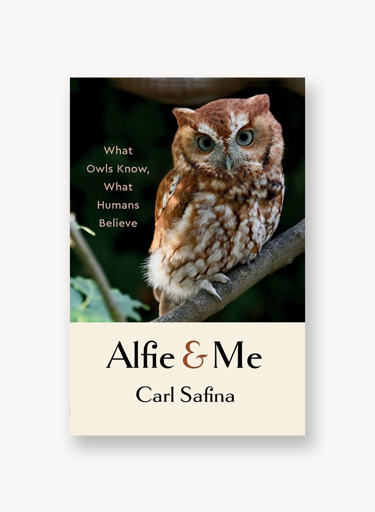 Alfie and Me: What Owls Know, What Humans Believe