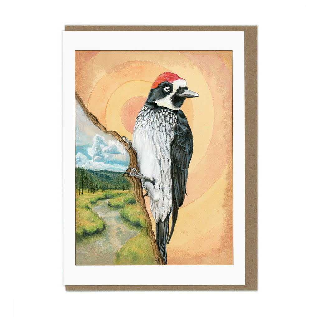 arm-acorn-woodpecker.jpg