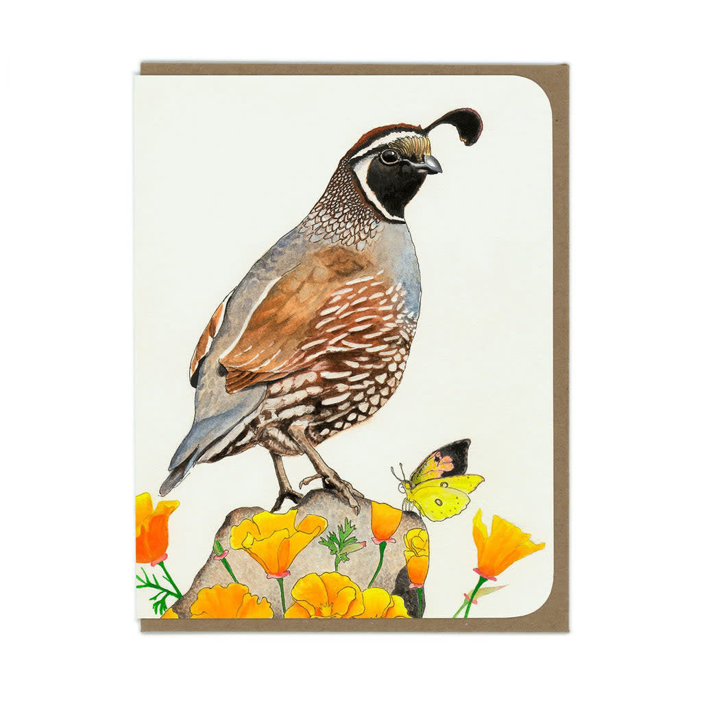 Cards - Quail and Poppies