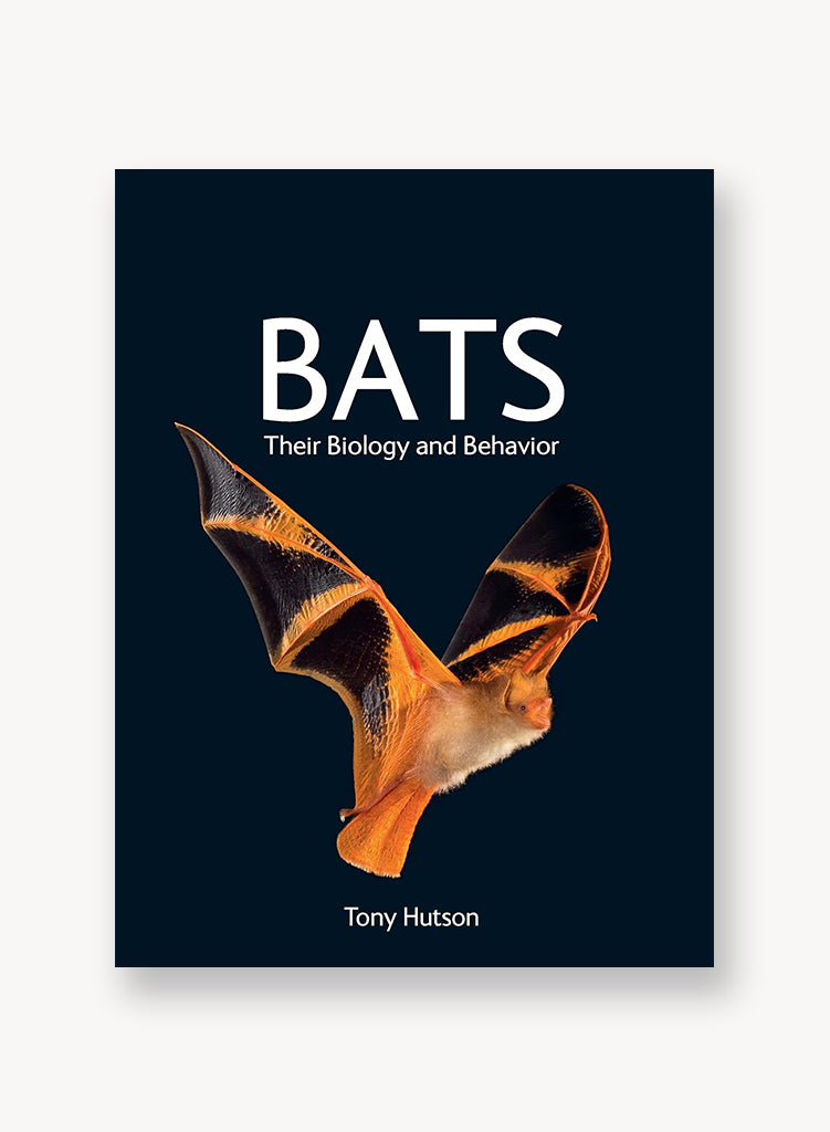 batstheir.jpg