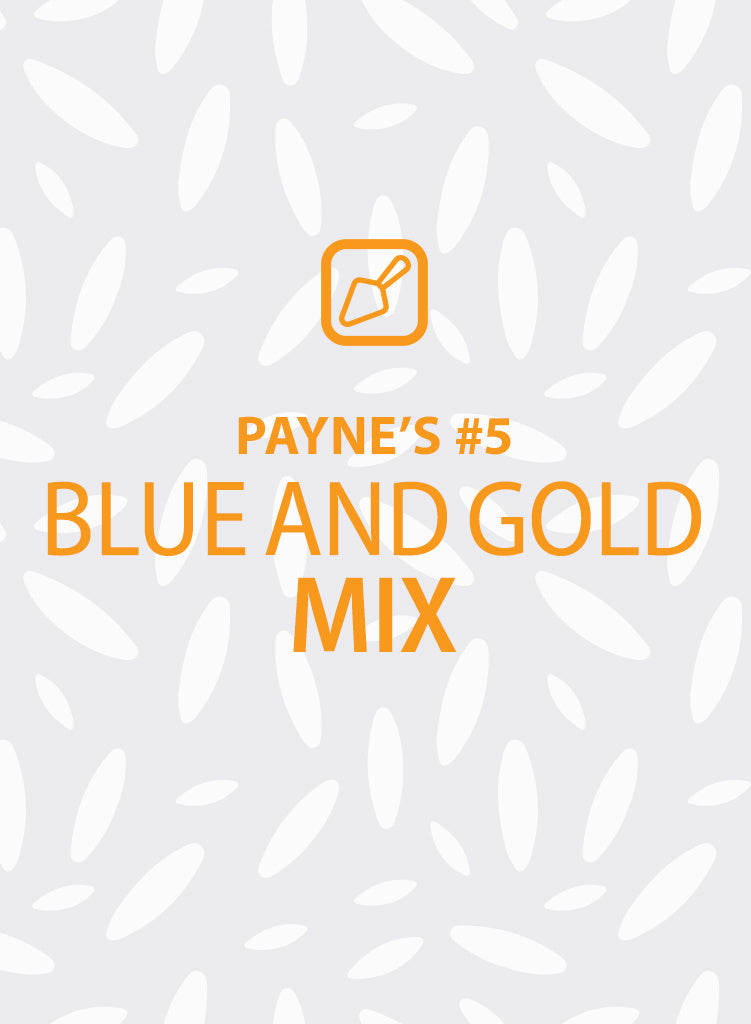 Payne's #5: Blue & Gold Mix