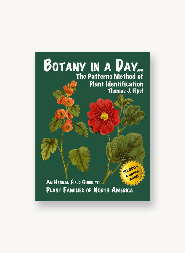 botany-in-a-day.jpg