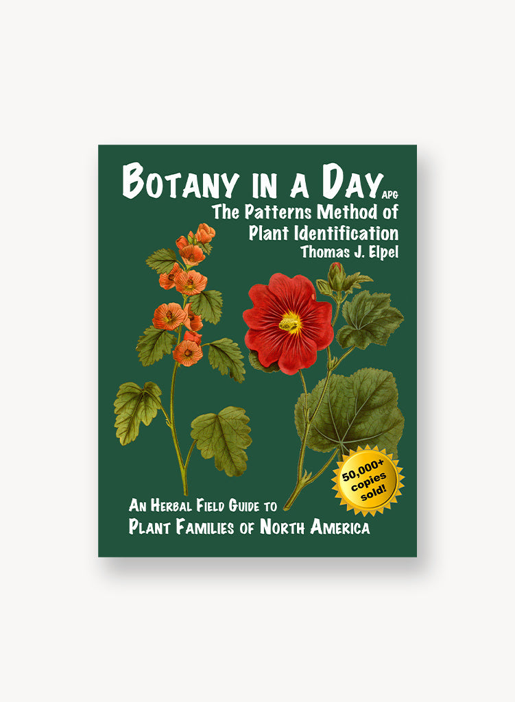 Botany in a Day The Patterns Method of Plant Identification (6th Edit