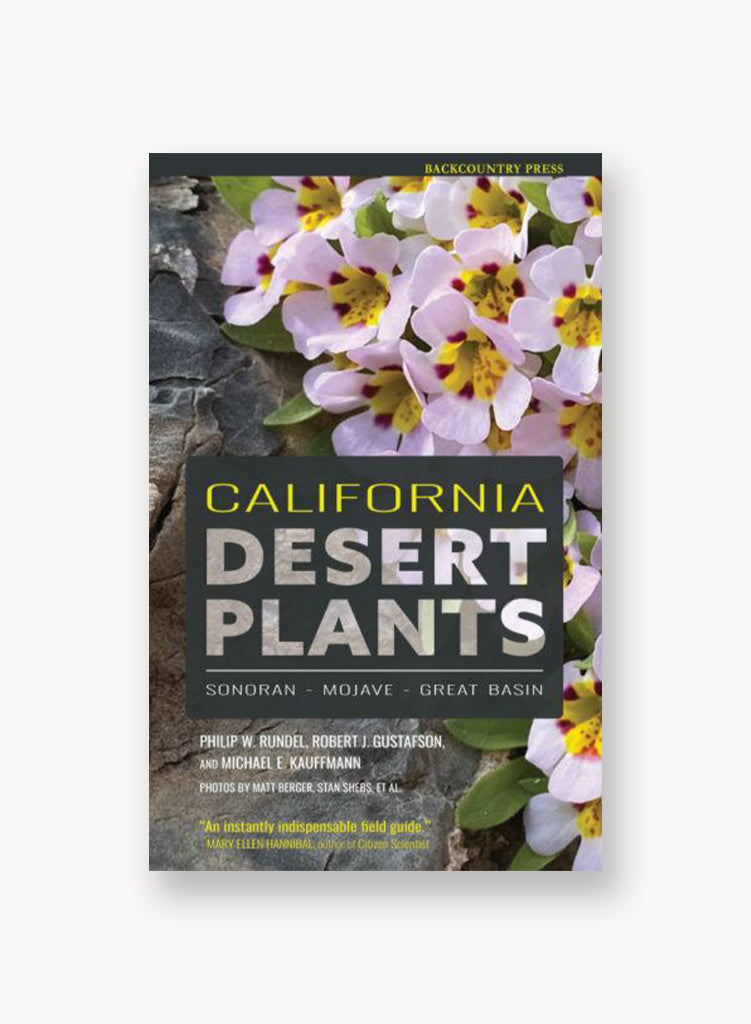 californian-desert-plants.jpg