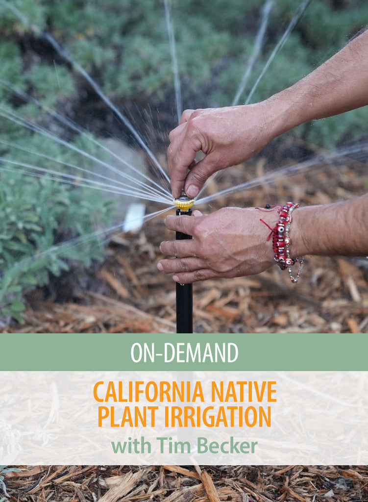 On-Demand Class: California Native Plant Irrigation