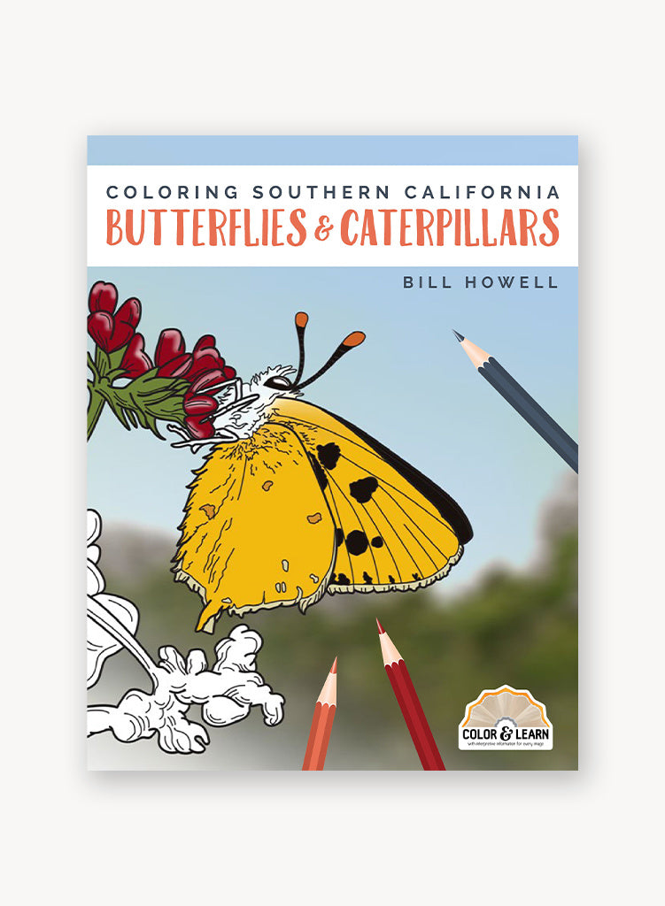 Coloring Southern California Butterflies & Caterpillars