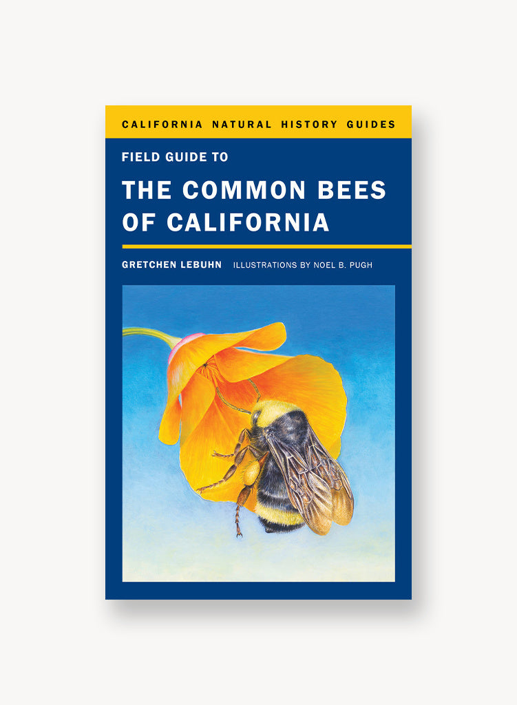 common-bees-of-ca.jpg