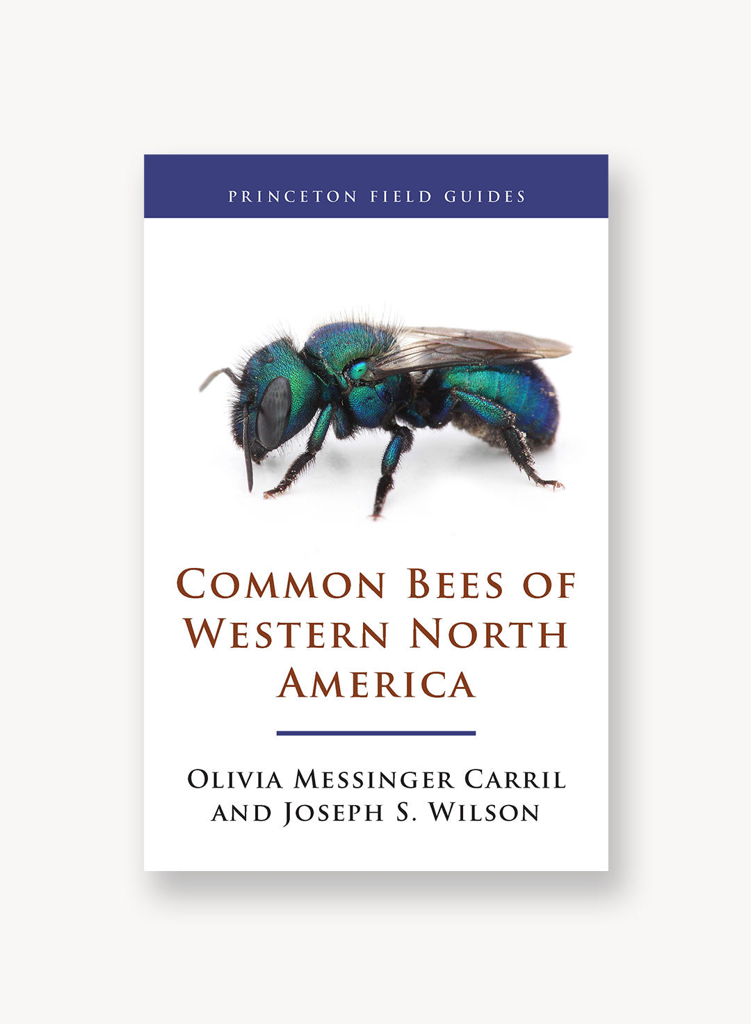 common-bees-of-western-north-america.jpg