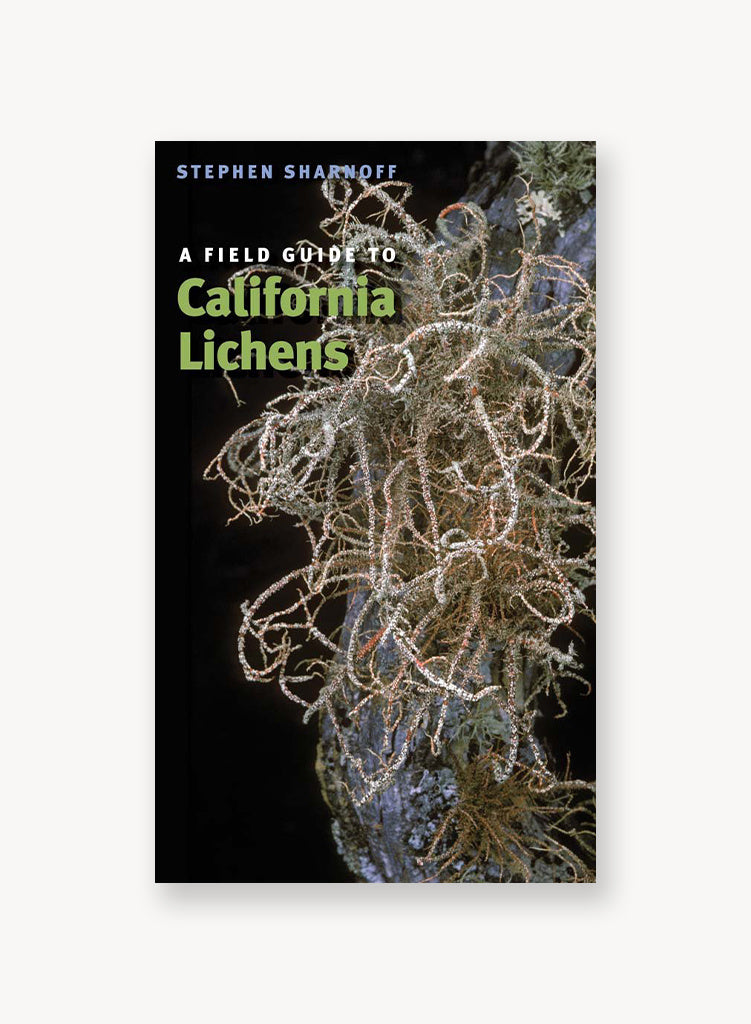 field-guide-to-lichens.jpg