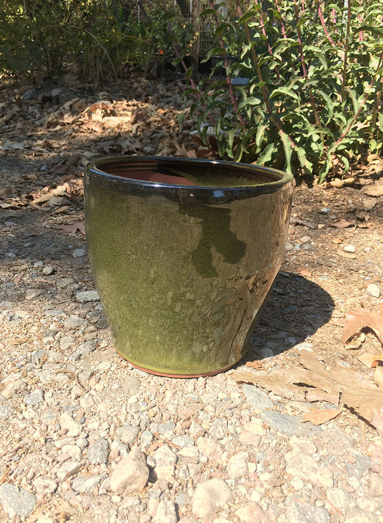 glazedeggdarkgreen.jpg