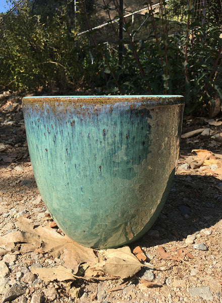 Pot