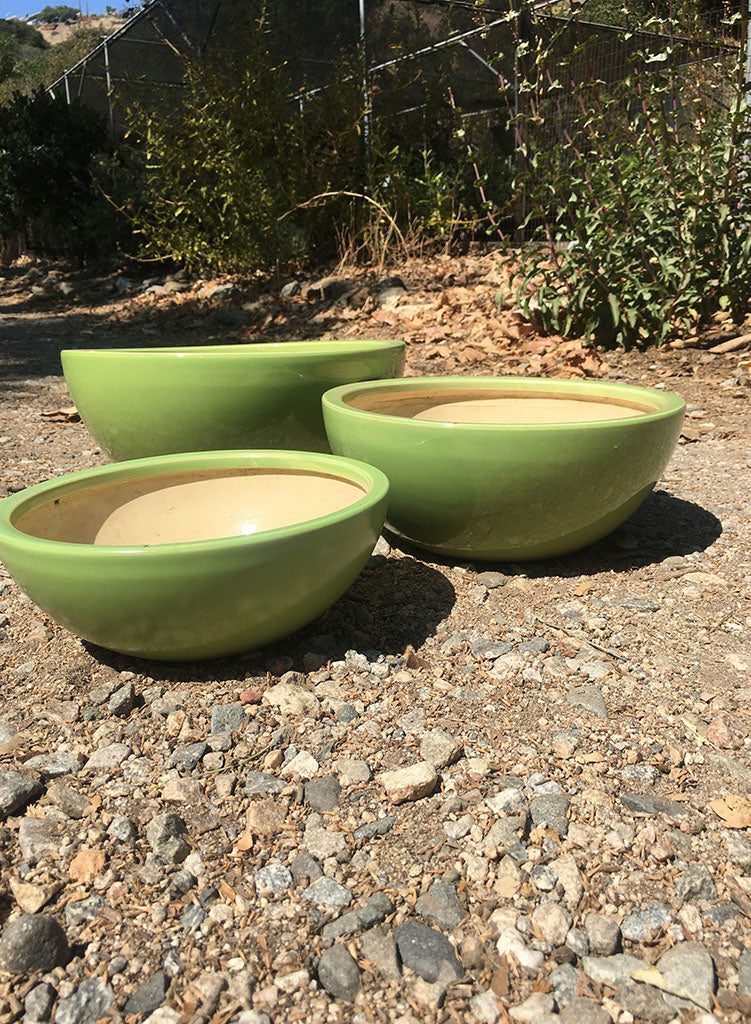 Pot - Glazed Low Bowl