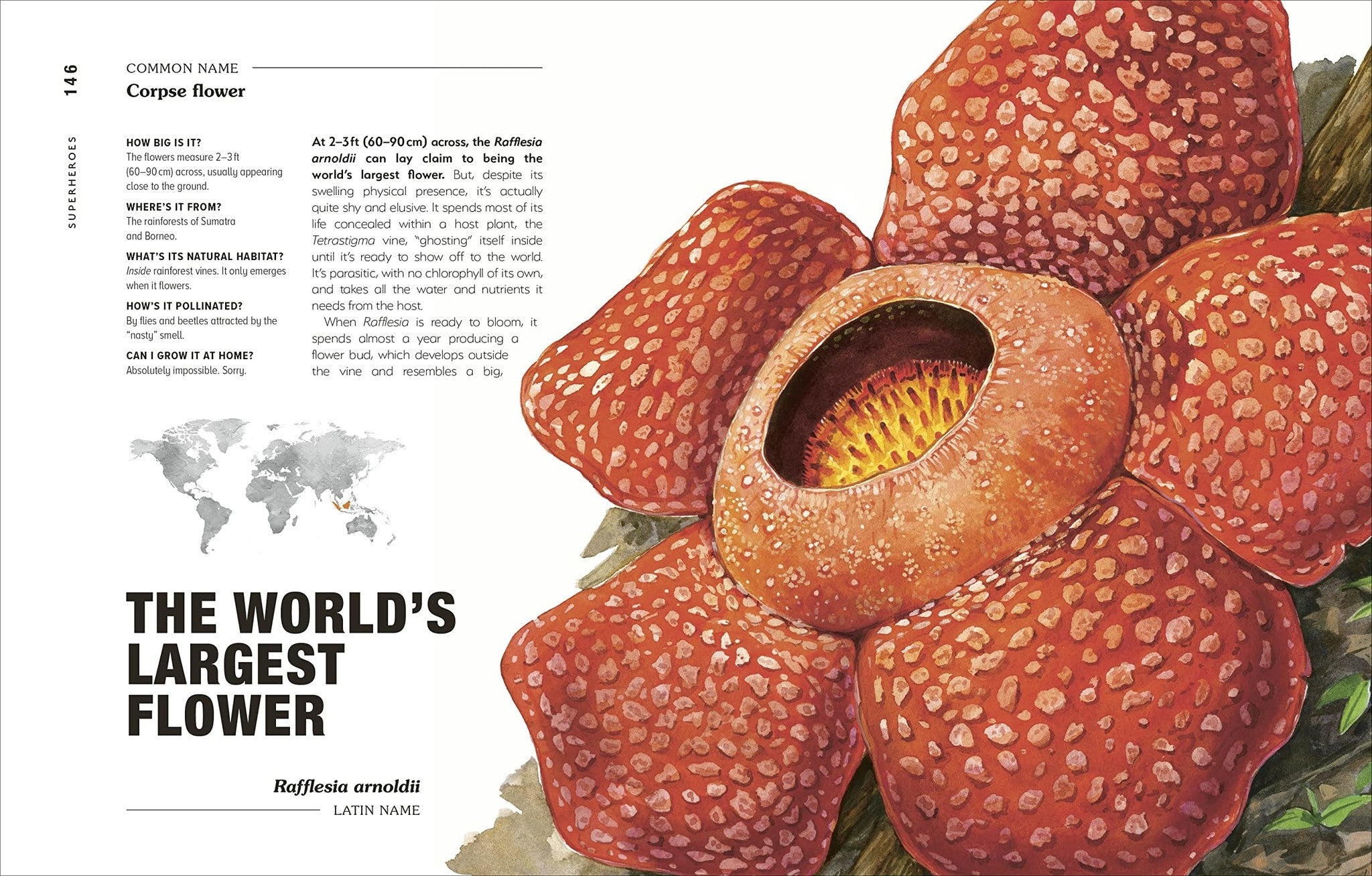 Hortus Curious: Discover the World's Most Weird and Wonderful Plants and Fungi