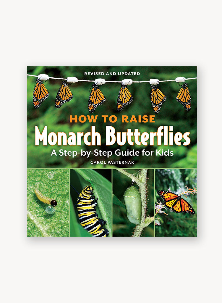 how-to-raise-monarch.jpg