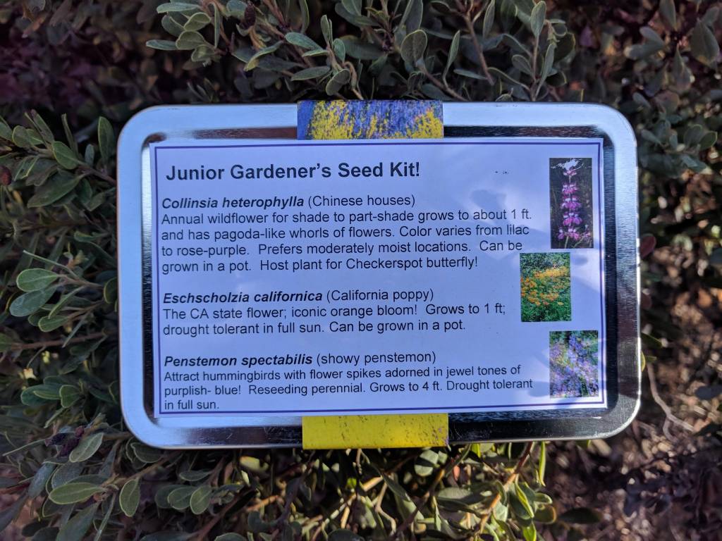 Junior Gardener's Seed Collection