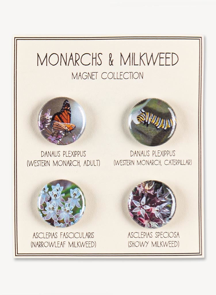 magnet-collections-monarch-and-milkweed-275-751x10.jpg