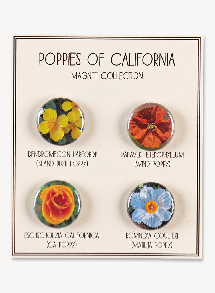 Poppies of CA Magnets