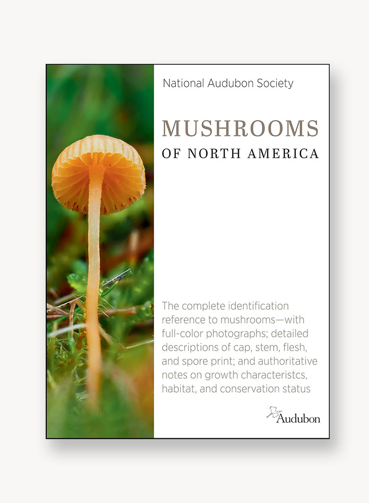 National Audubon Society Mushrooms of North America