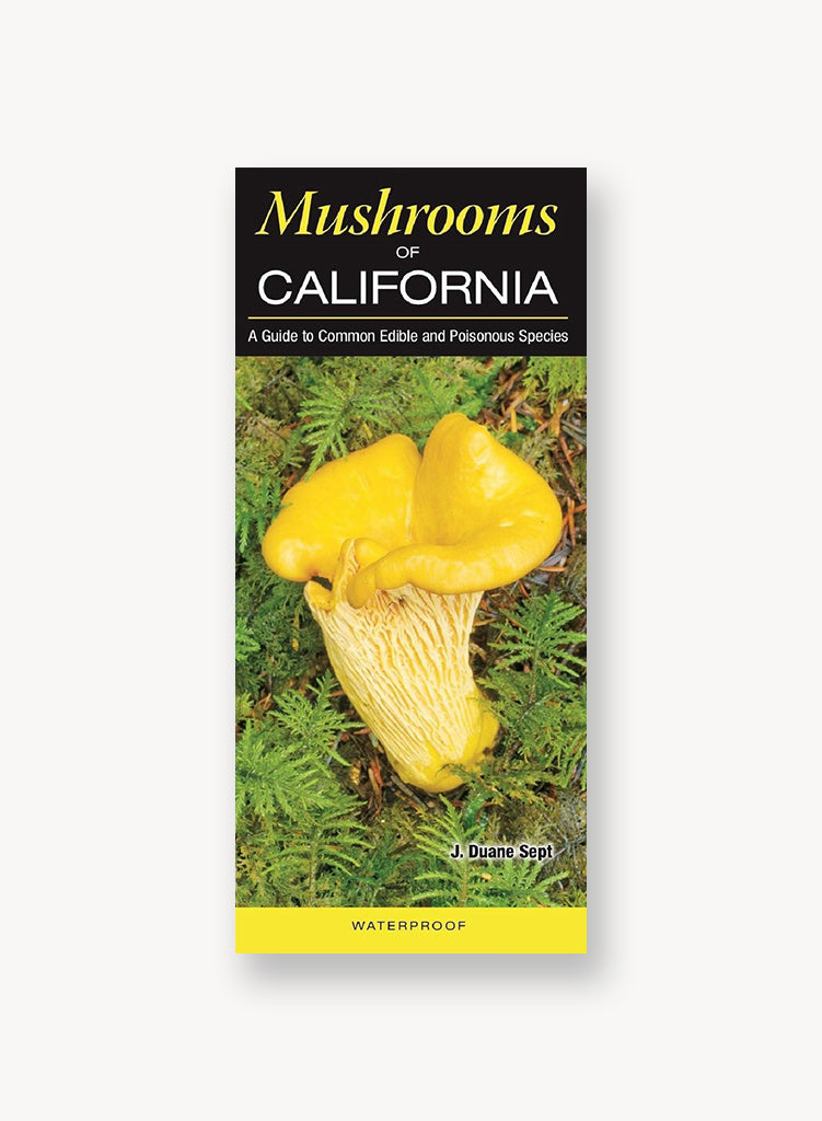 Fungi Field Guides