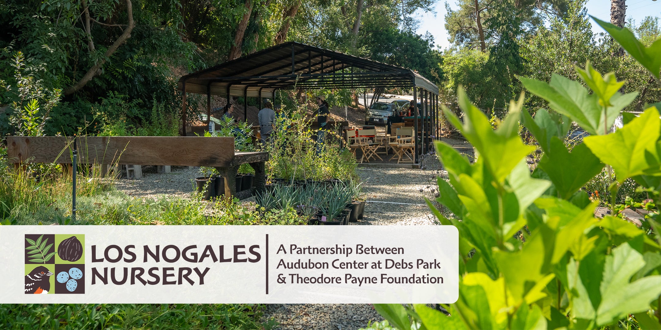 nogales_banner-2.jpg