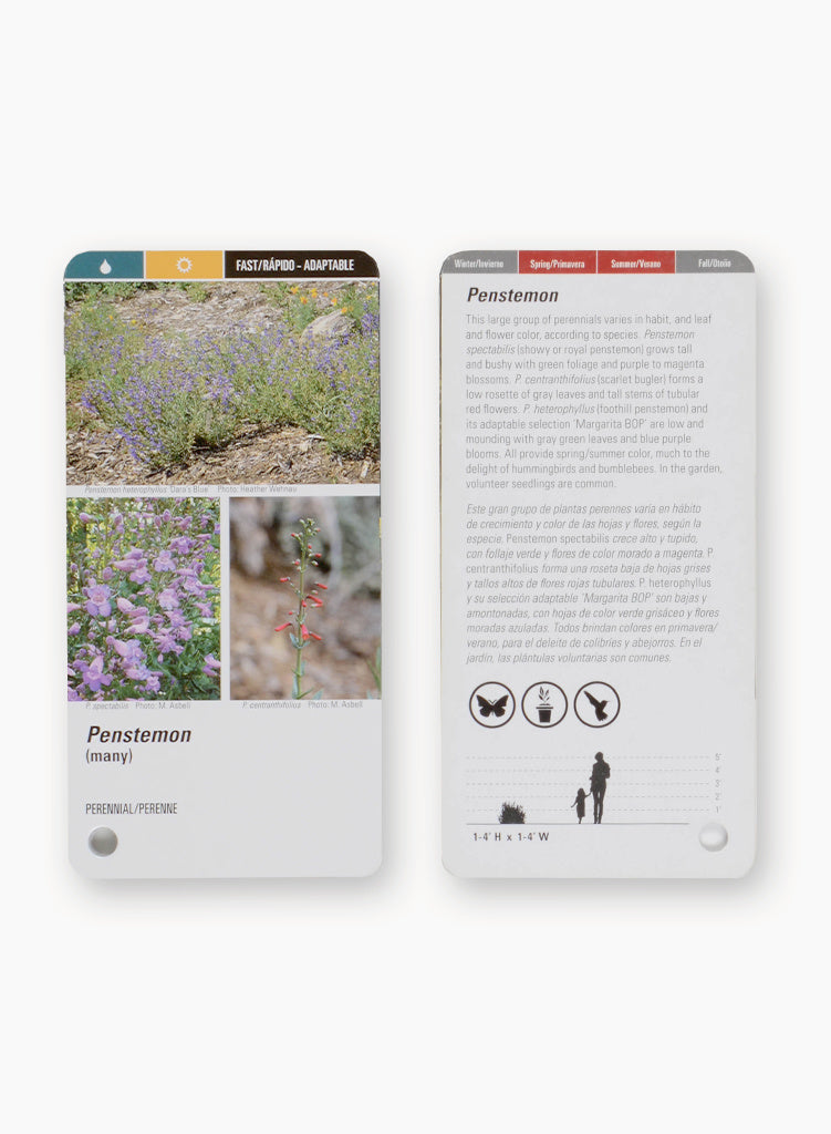 Native Plants for Southern California Gardens Flashcards