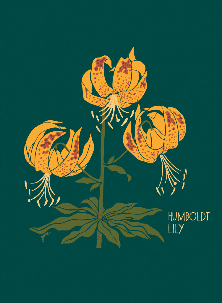 Humboldt Lily (Straight Fit)