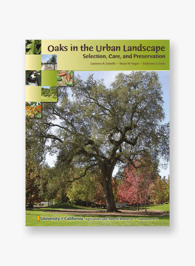 oaks-in-the-urban-landscape.jpg
