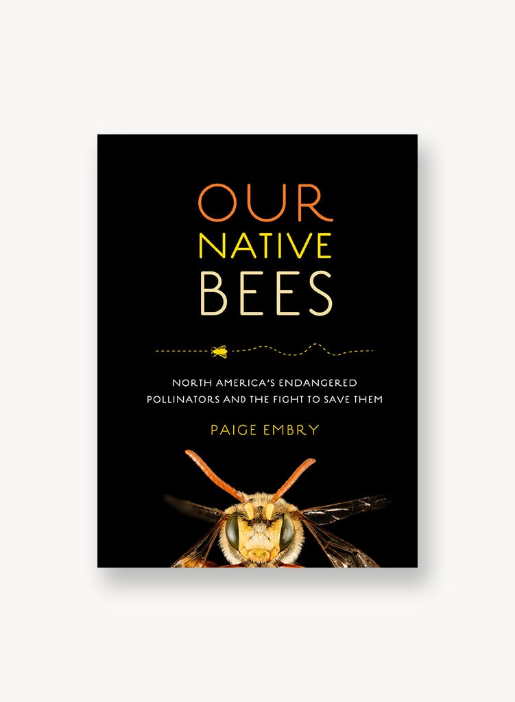 our-native-bees.jpg
