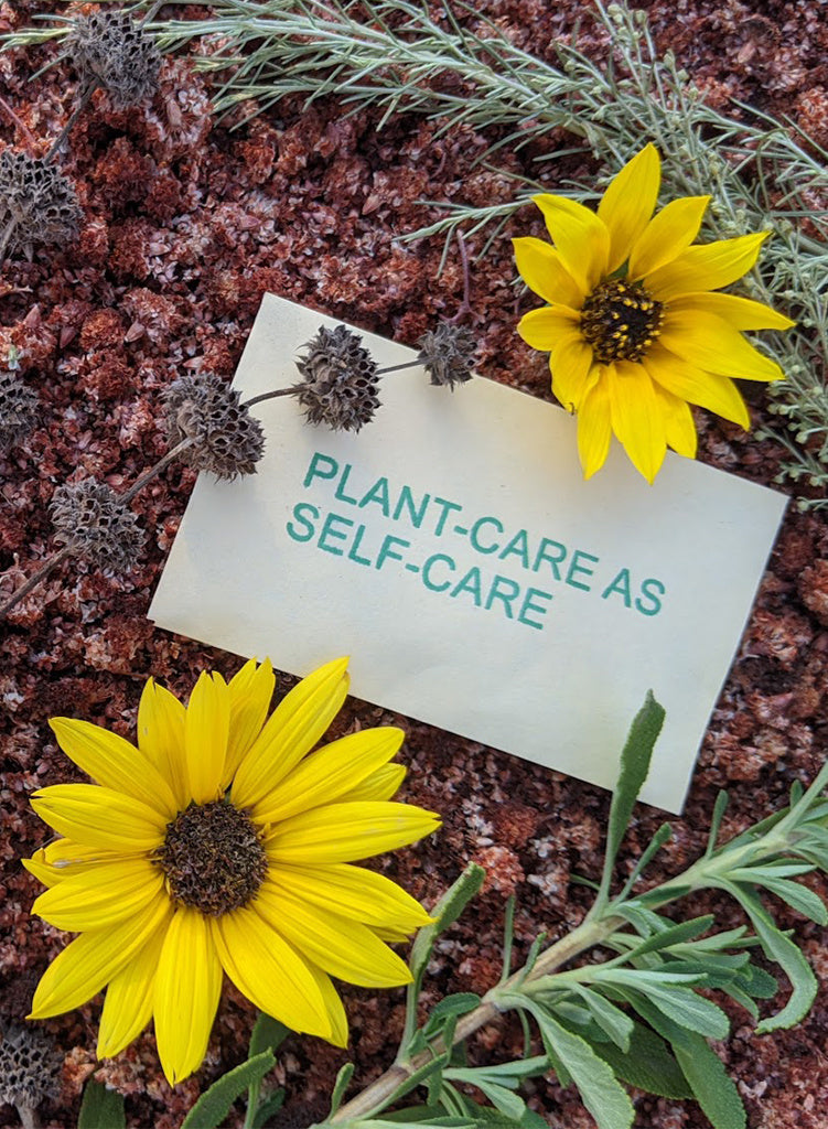 PLANT-CARE AS SELF-CARE Seed Packet